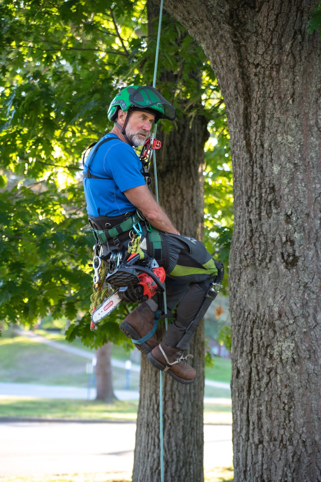 Michael Duddy, J.D., M.P.P.M., demonstrates proper tree climbing technique