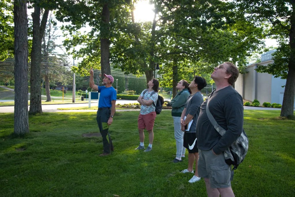 Students examine a tree on the Biddeford Campus