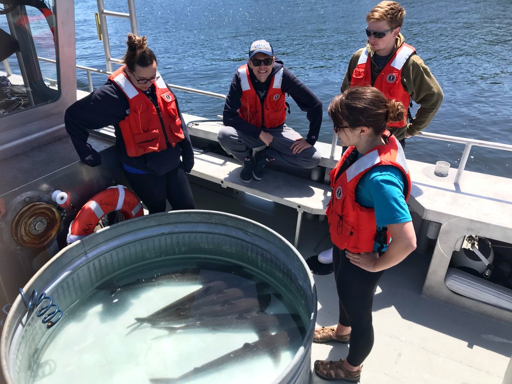 Students on board boat with tank of small sharks in front of them