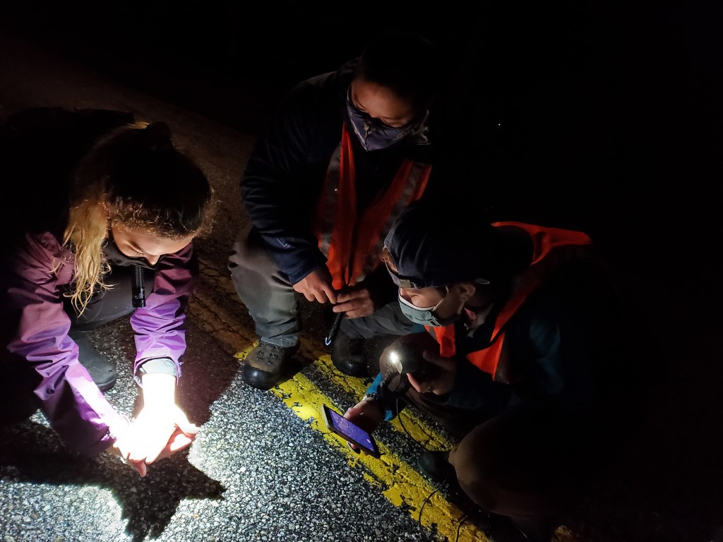 Students are shown at night tracking amphibian migrations