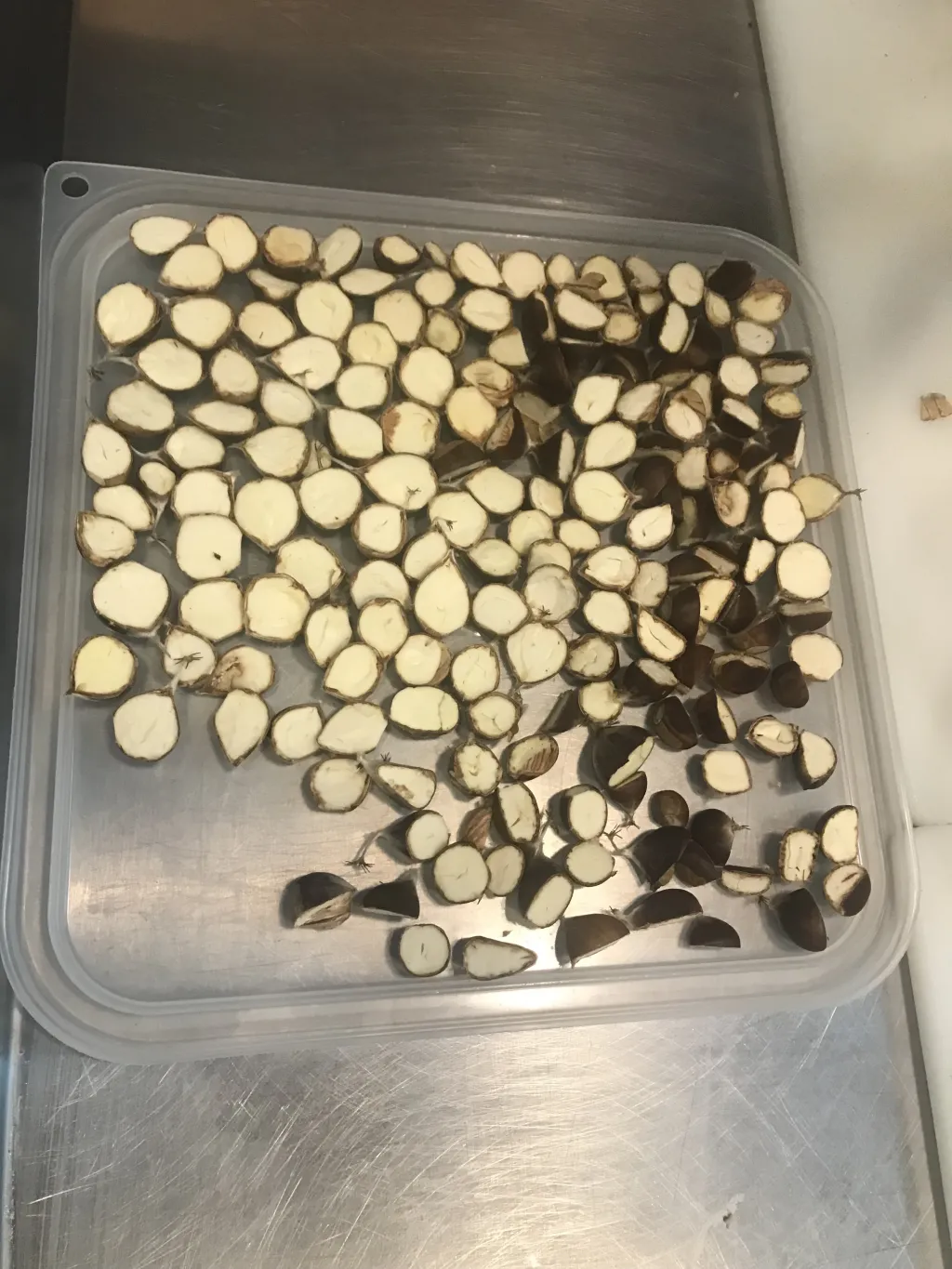 Chestnuts with shells