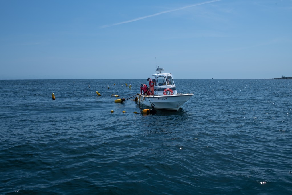A research boat floats at UNE's kelp farm in May 2021