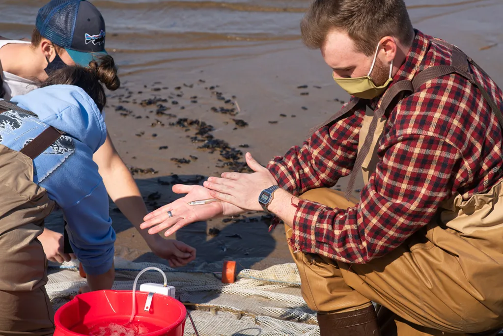 Marine Science students on the beach