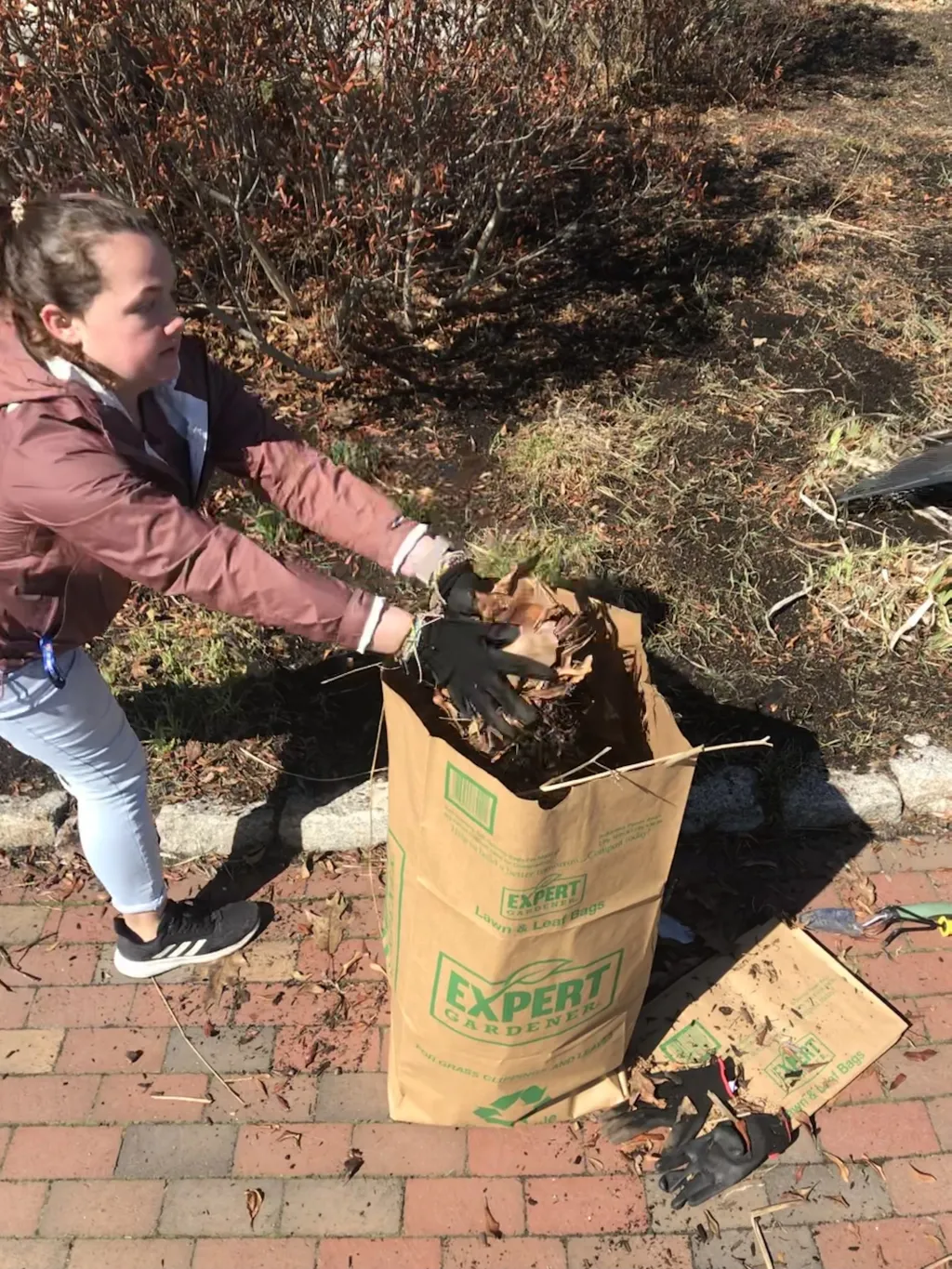 Student clearing out garden