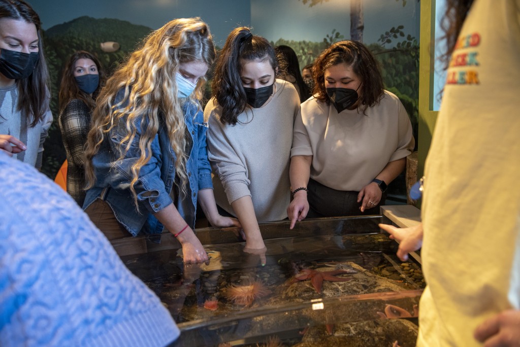 Students gather at the 'touch tank' at the museum's aquarium
