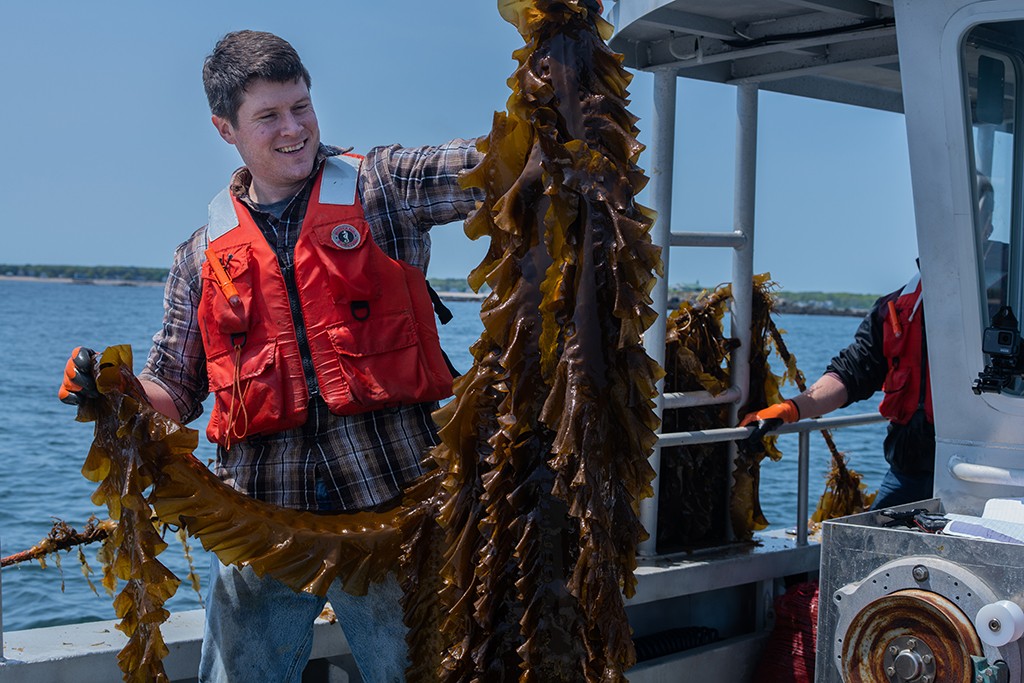 A U N E student holding up sea kelp