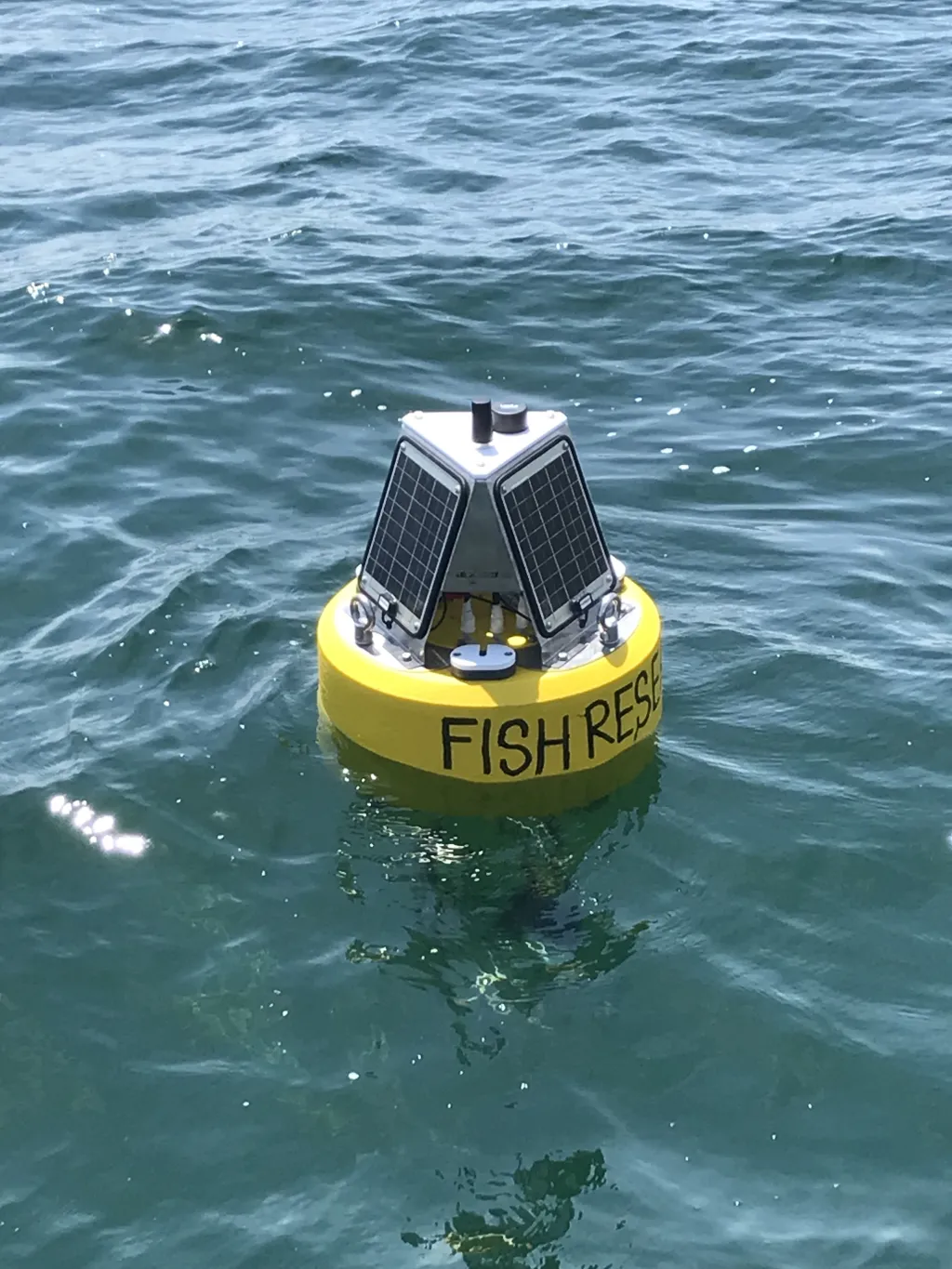 Buoy in water