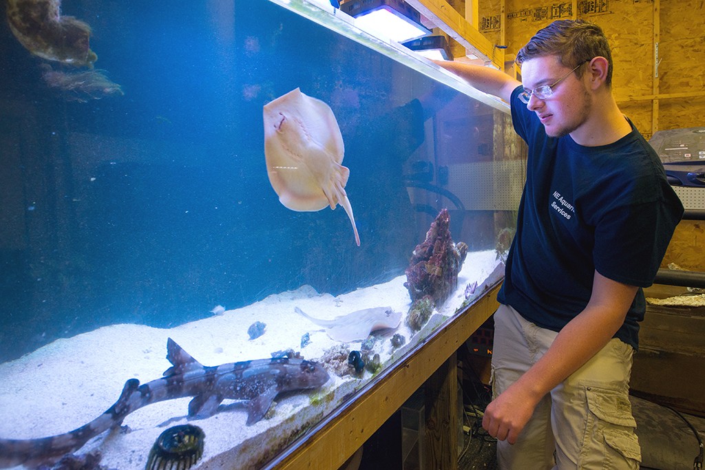 A student interacts with fish inside an aquarium