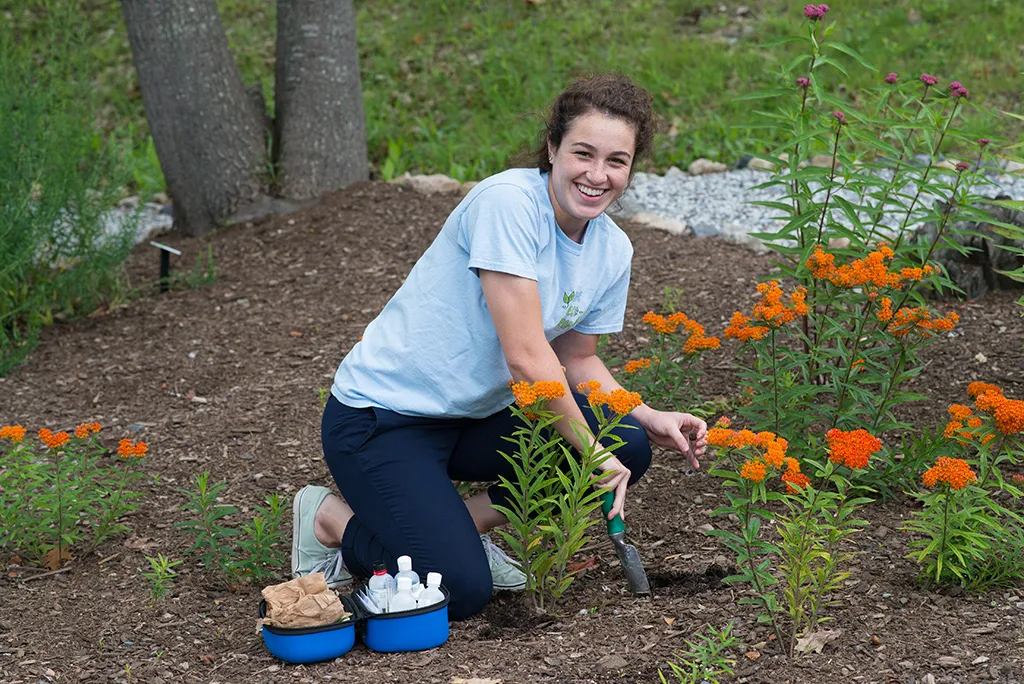 A U N E student working in the rain garden