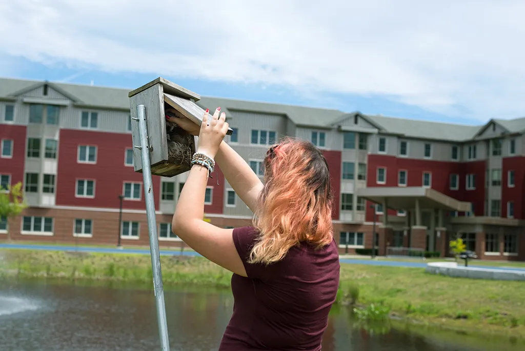 A U N E student helping with the mosquito control project