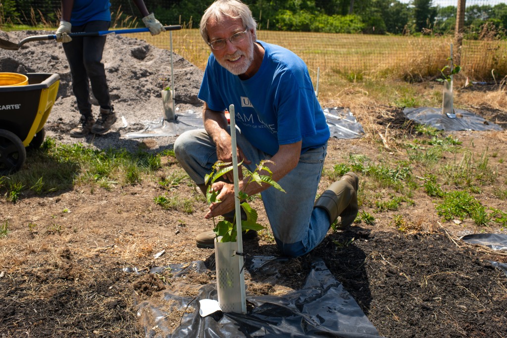 Thomas Klak poses with an American chestnut seedling