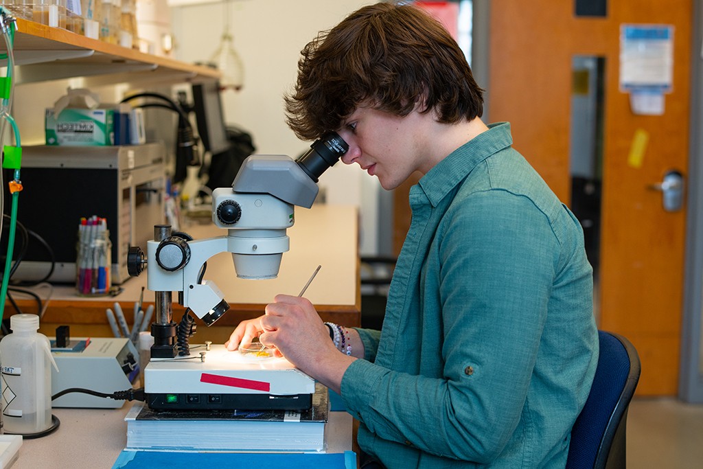 A student peers into a microscope