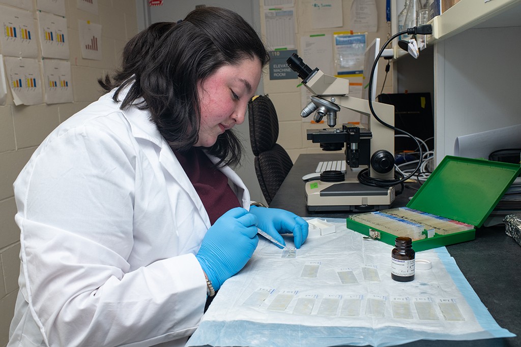 A student in a white lab coat prepares a row of microscope slides