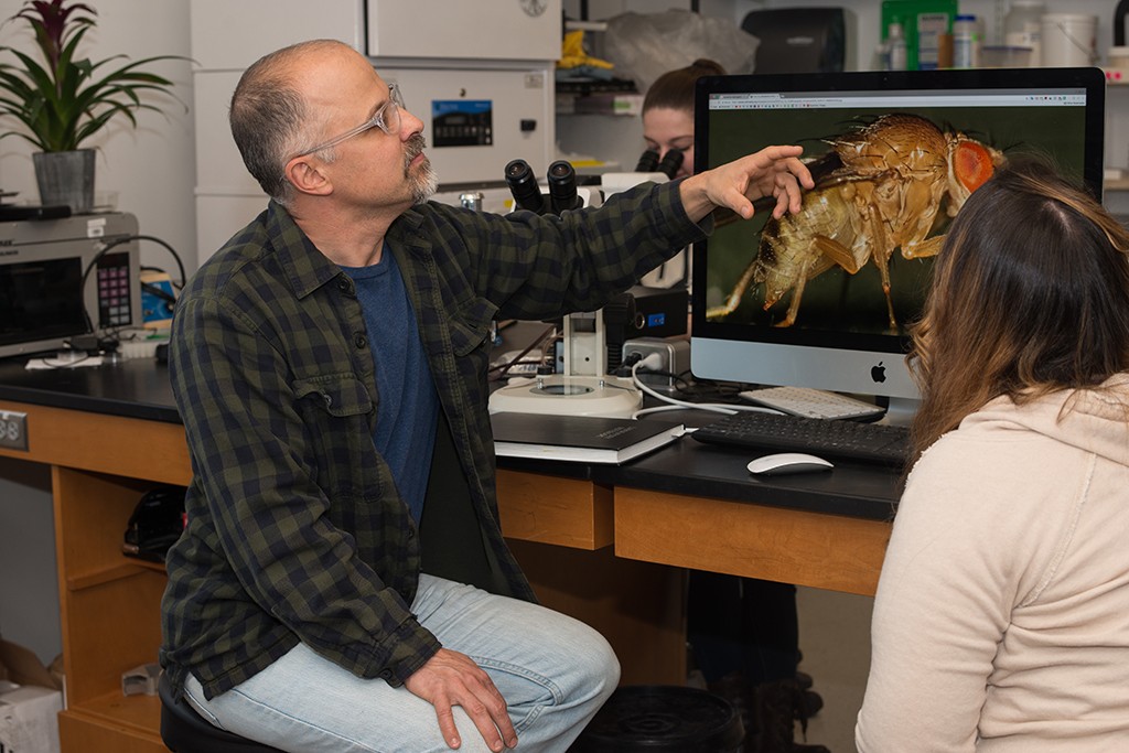 Professor Ganter points to a fruit fly on a monitor