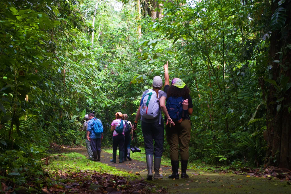 U N E biological sciences students walk the rainforest in Costa Rica while taking a travel course