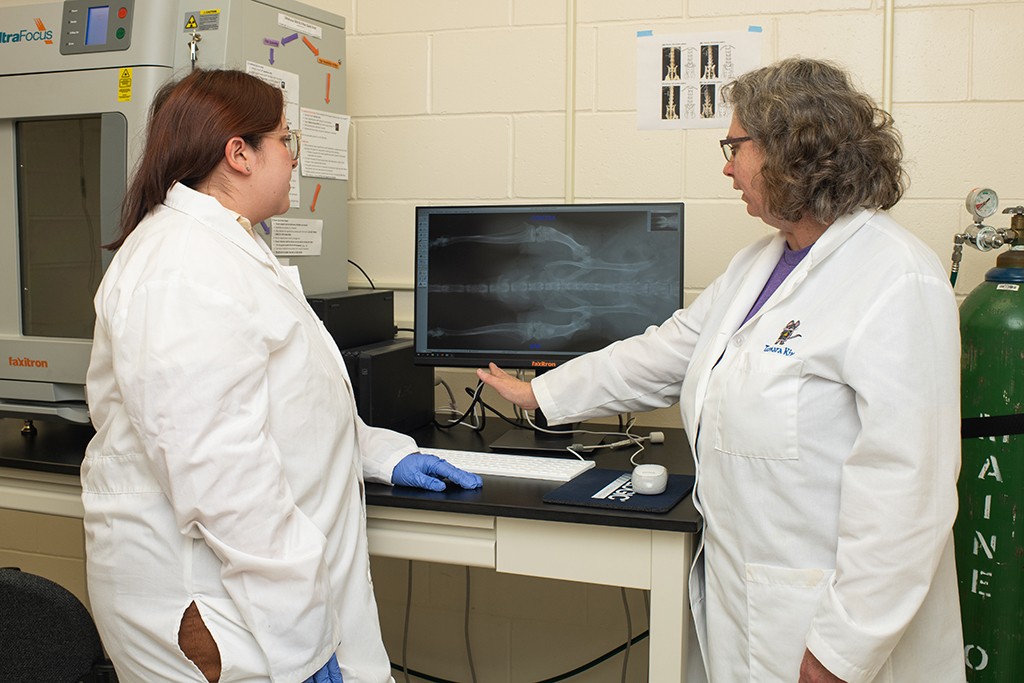 A professor and a student reviewing an x-ray on a monitor