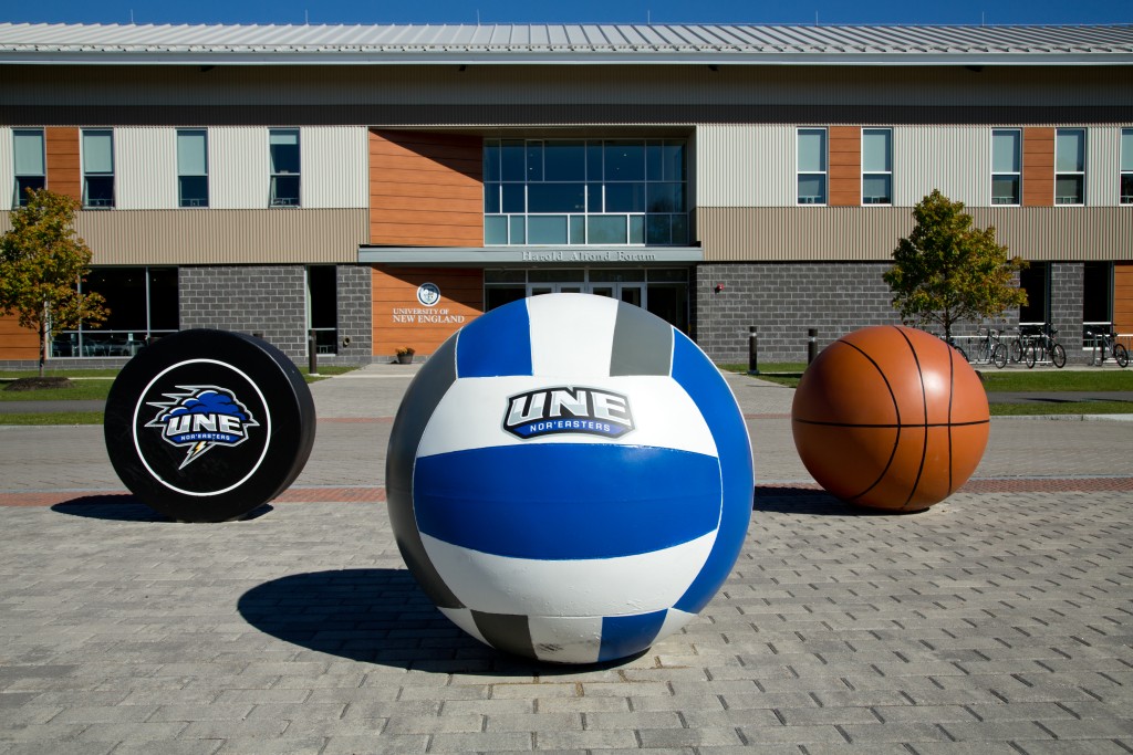 A puck, volleyball, and basketball placed outside the Harold Alfond Forum