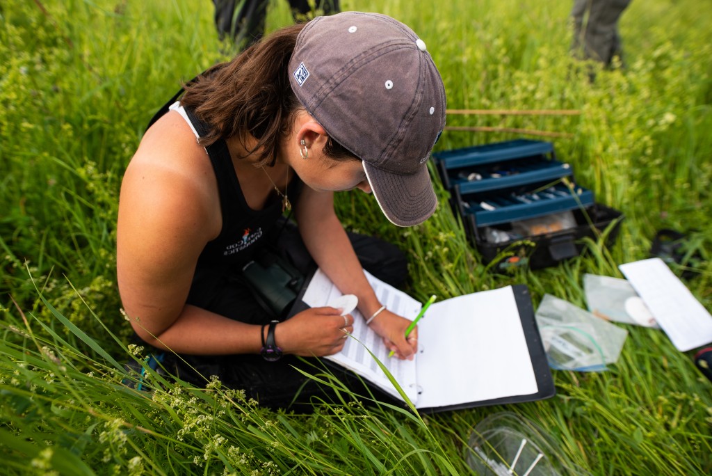 An Environmental Studies student sits in tall grass and takes notes while doing fieldwork