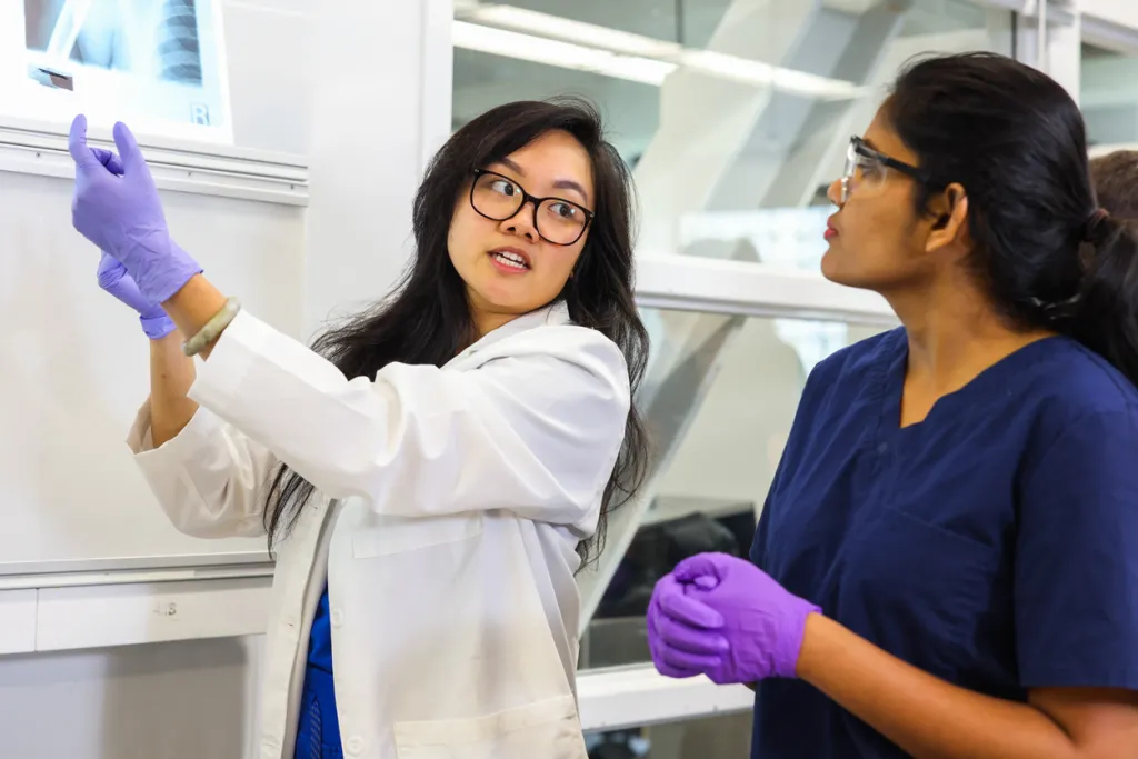 Two C O M students review and discuss an x-ray