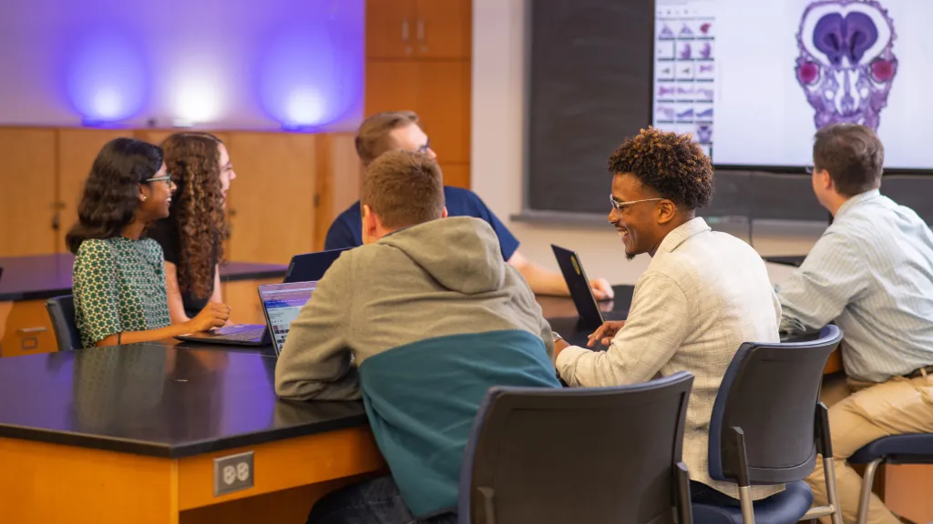 Students study in a clinical anatomy lecture