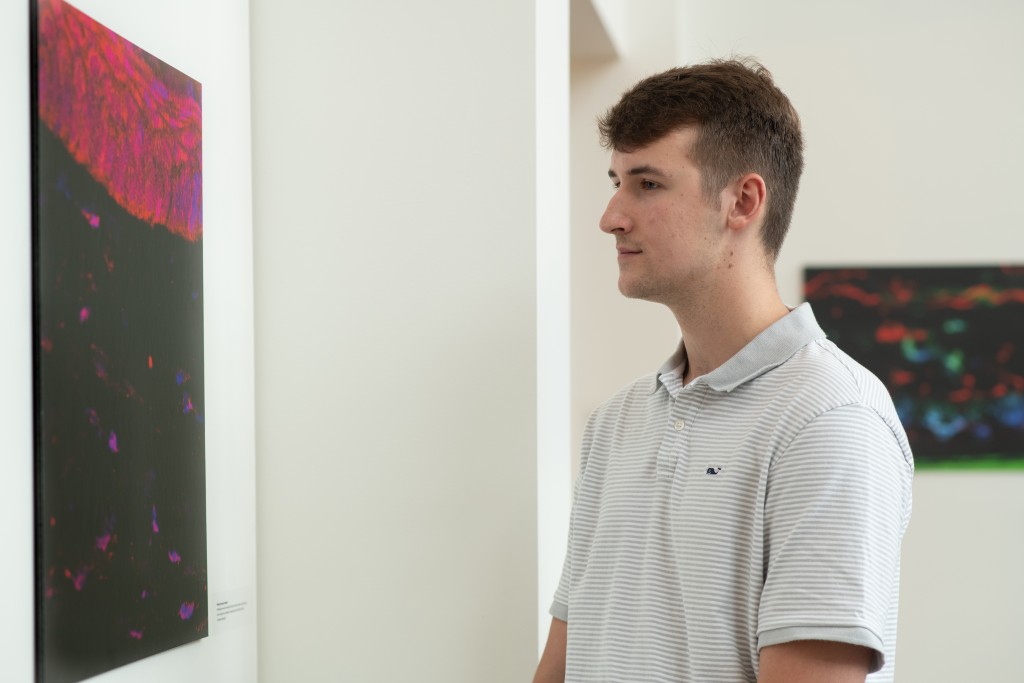 U N E student Dawson Durcotte looks at a painting in the Biddeford campus art gallery