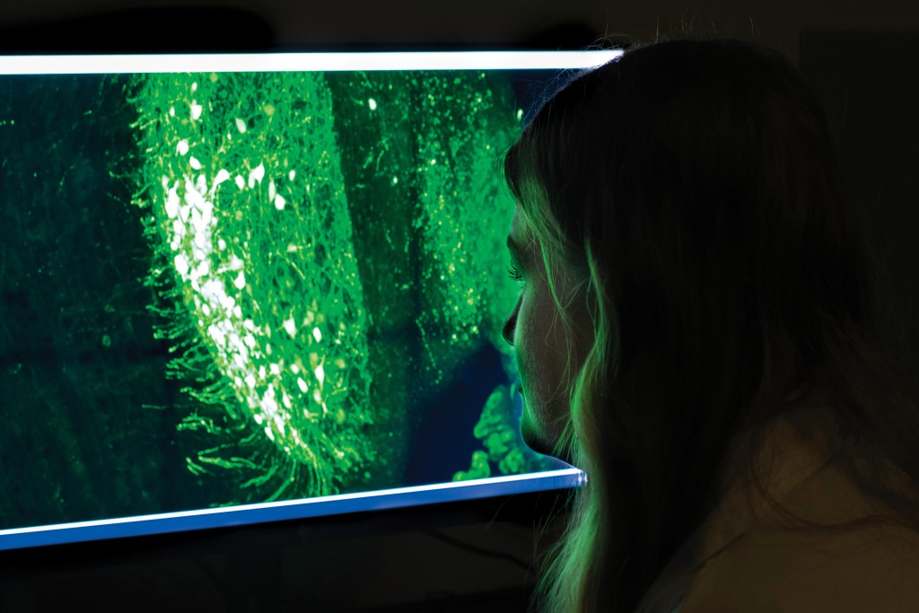 Jayden looks at a monitor showing green microscopic imagery