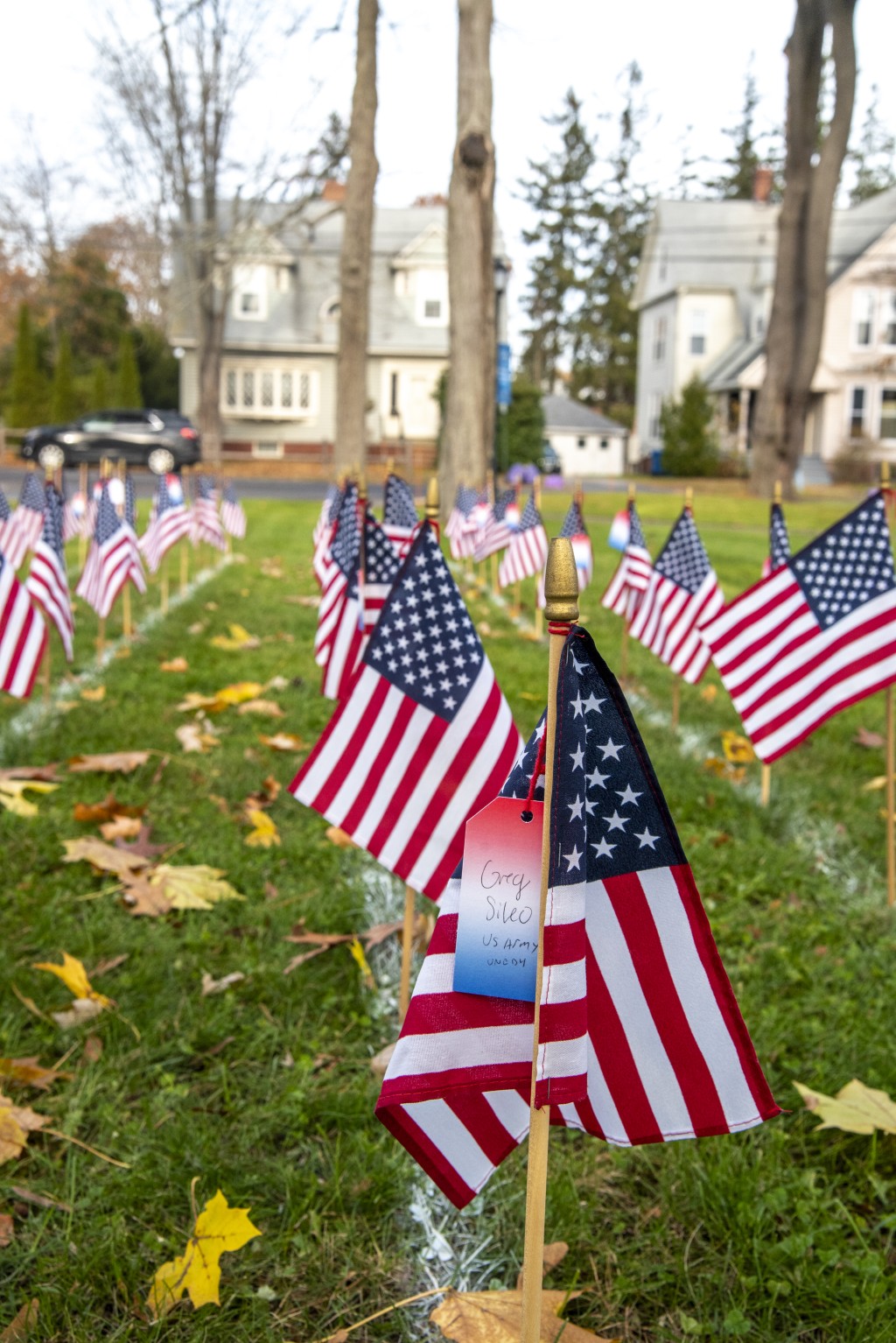 Small American flags are planted in rows on UNE's campus green in Portland in honors of Veterans Day