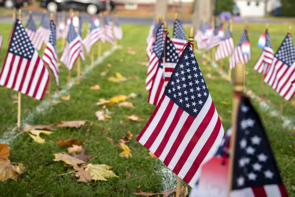 Small American flags are planted in rows on UNE's campus green in Portland in honors of Veterans Day