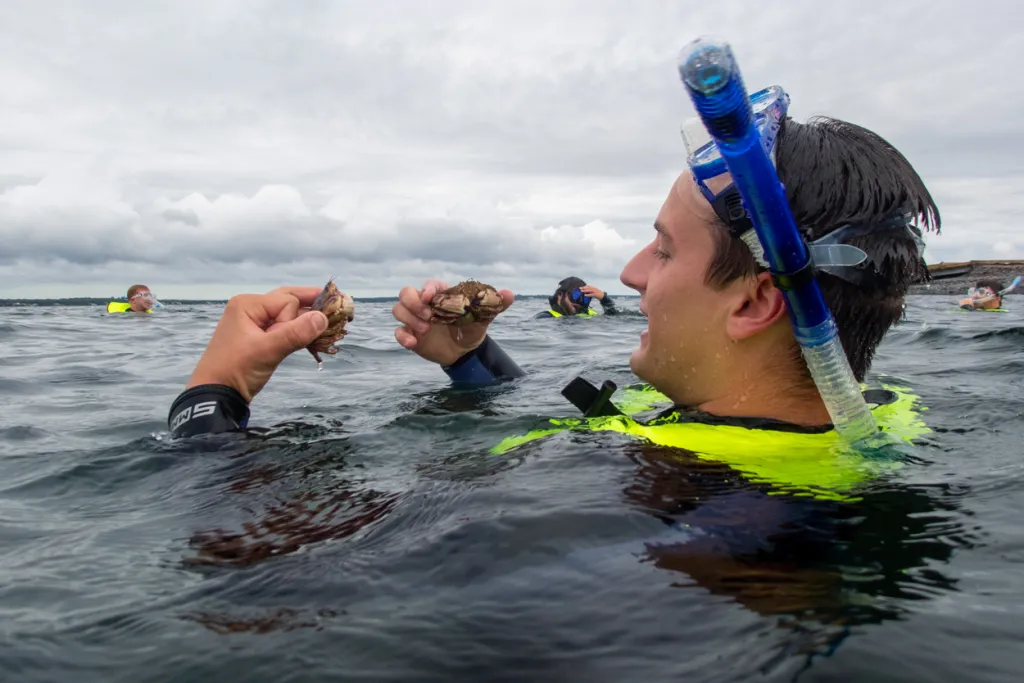 A student in snorkel gear floats at the surface of the ocean while holding small live crabs