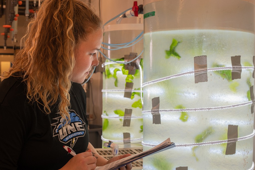 A student takes notes on pieces of sea kelp in the marine science lab