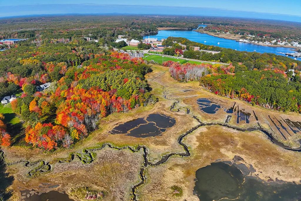 Aerial image of salt marshes in Biddeford Pool