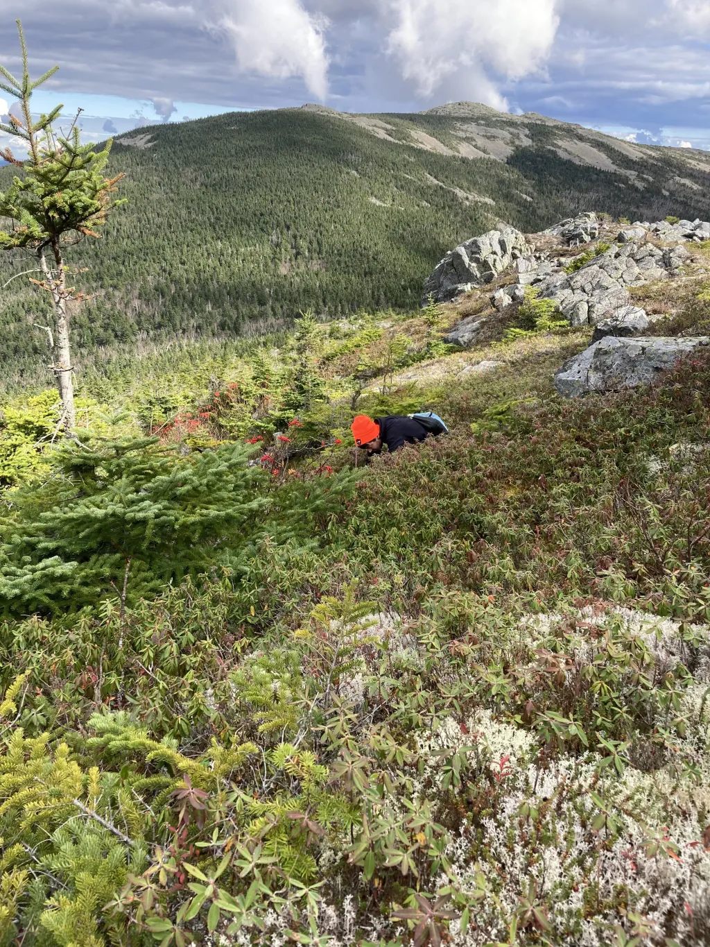 Zach Olsen and a field tech completing land surveying for northern bog lemming