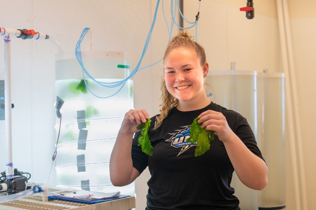 student holding sea lettuce in lab