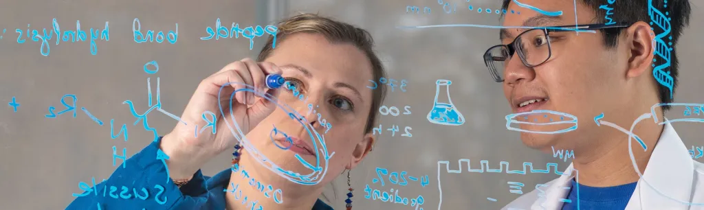 Eva Rose Balog writes chemistry formulas related to her research on plexiglass with U N E student Huy Ha observing