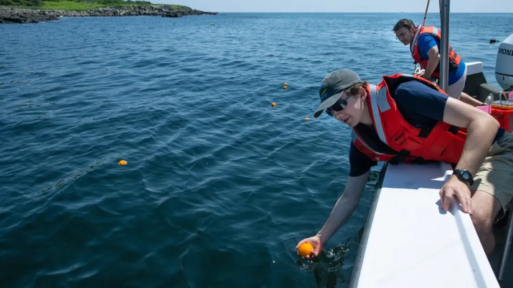 A student in a life vest places an orange in the ocean from a boat