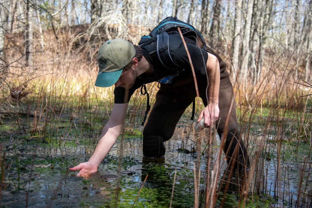 U N E student wearing a backpack collects samples from a wetland area surrounded by dried vegetation and sparse trees.