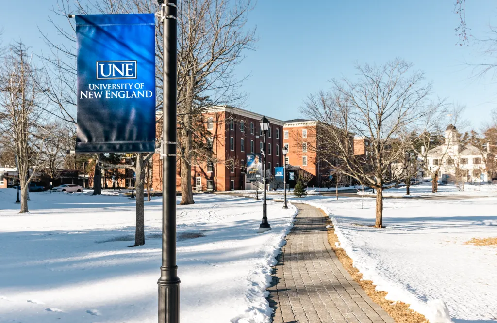 U N E banner on lamppost overlooking snow-covered campus quad with brick academic buildings and bare trees under clear blue sky.