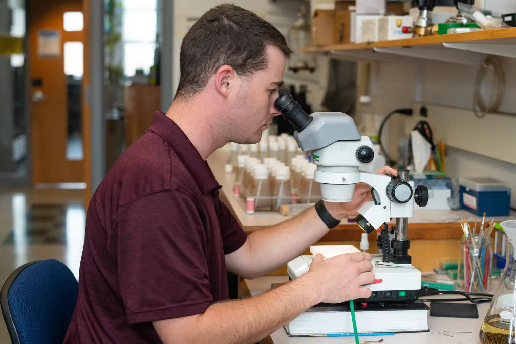U N E graduate biology student examines a specimen using a microscope in a laboratory, with test tubes and lab equipment visible in the background.