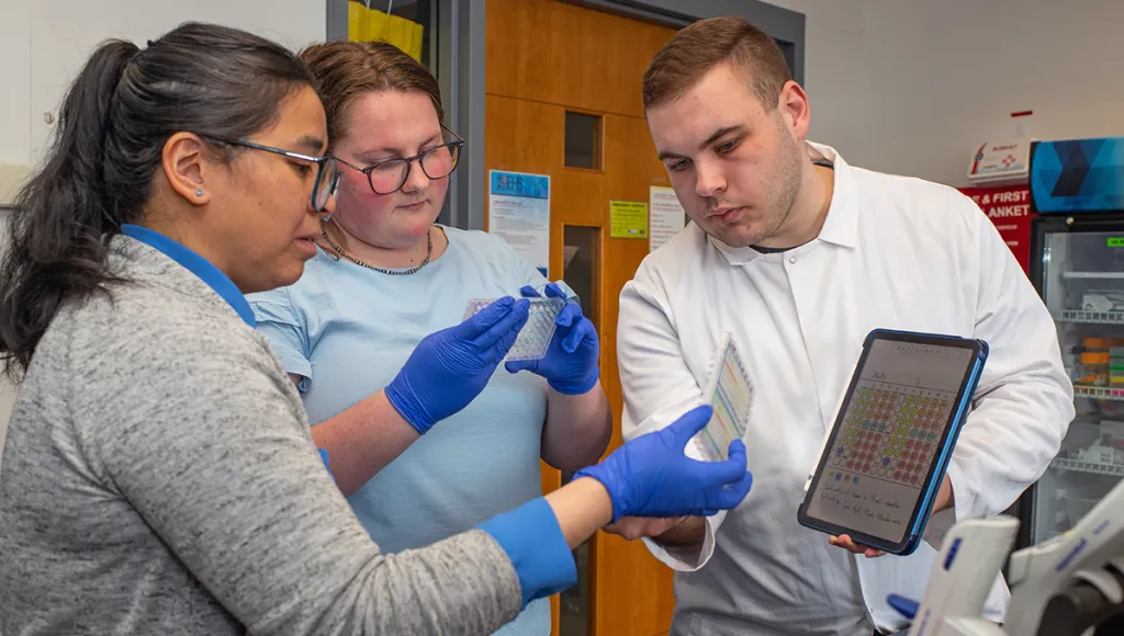 Three graduate students huddle together in a laboratory to review results; one holds a multiwell plate while another in a white lab coat references a tablet displaying a color-coded data grid, both wearing blue nitrile gloves.