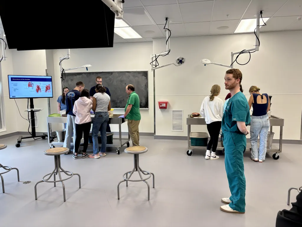 UNE offers high schoolers insights, encouragement into STEM fields
