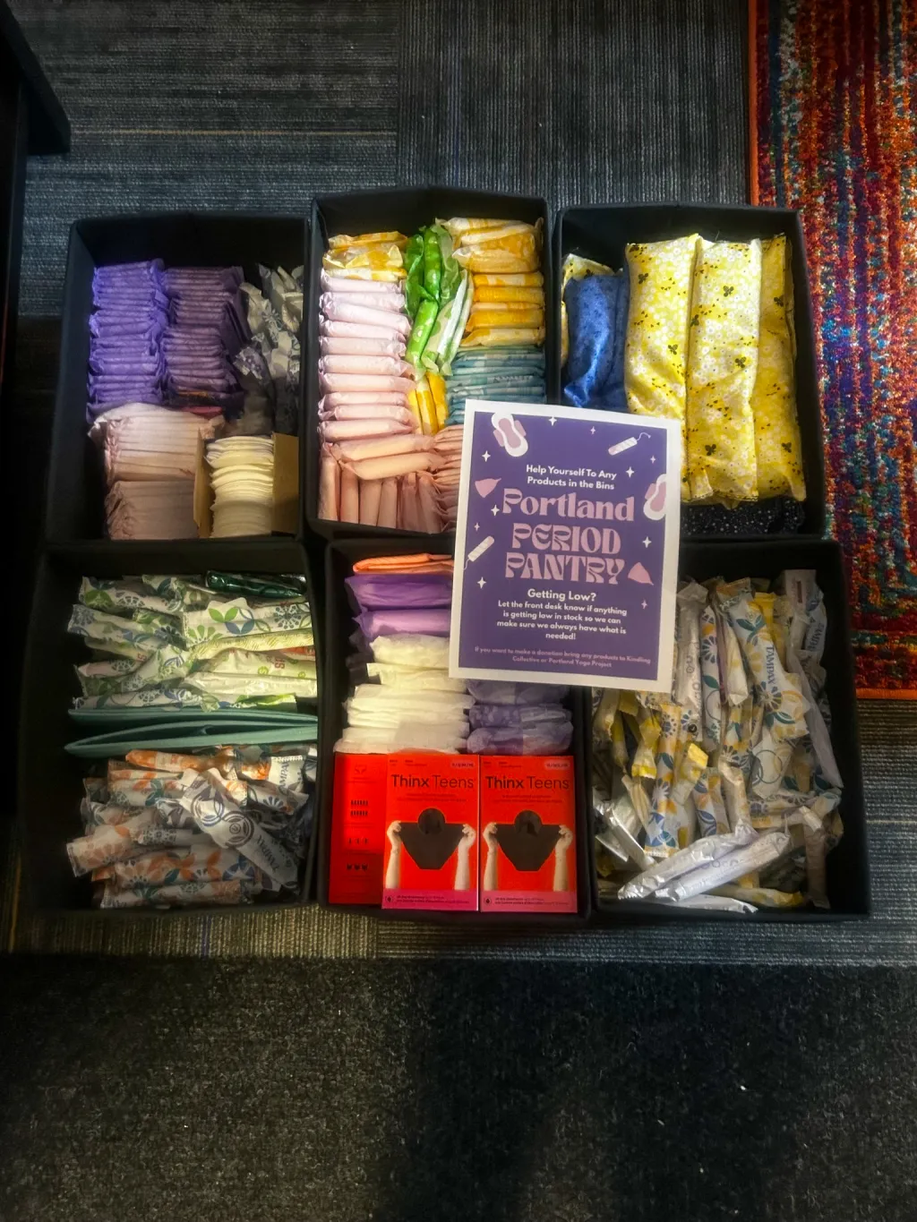 A collection of reproductive health care items in separate bins 