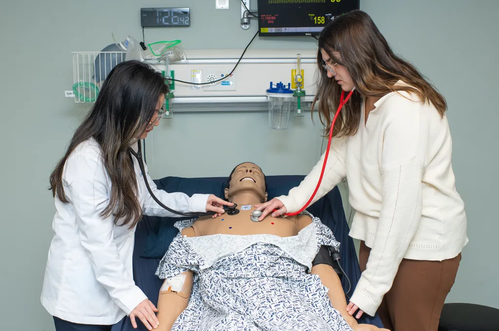 Two U N E students use stethoscopes to listen to a medical training manikin's heartbeat in the simulation lab.