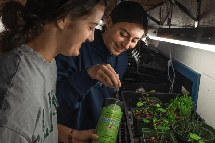 Two U N E students smile while applying rooting solution to seedlings under grow lights.
