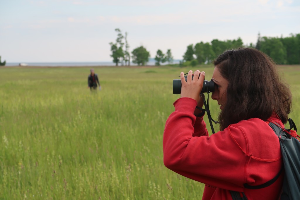 UNE student Olivia Scott uses binoculars to identify a previously banded bobolink at Shelburne Farms in Vermont