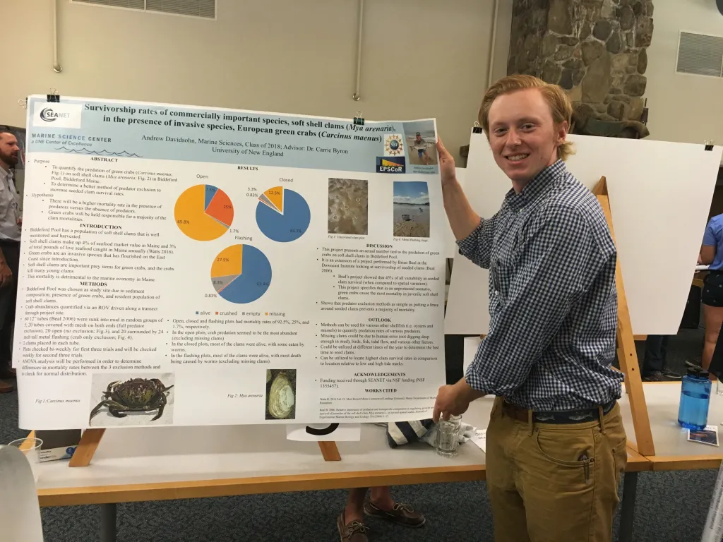 Andrew Davidsohn researched how often green crabs prey on soft shell clams