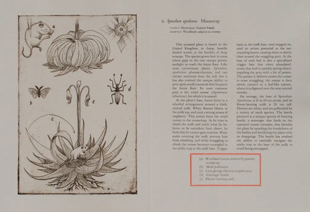 Plate 9 from Carnivorous Plants, a collaborative book project by faculty artist Stephen Burt and Pamela Morgan, Ph.D., associate
