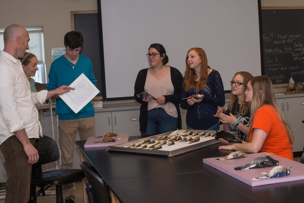UNE offered the class museum specimen preparation class for the first time in Fall 2016