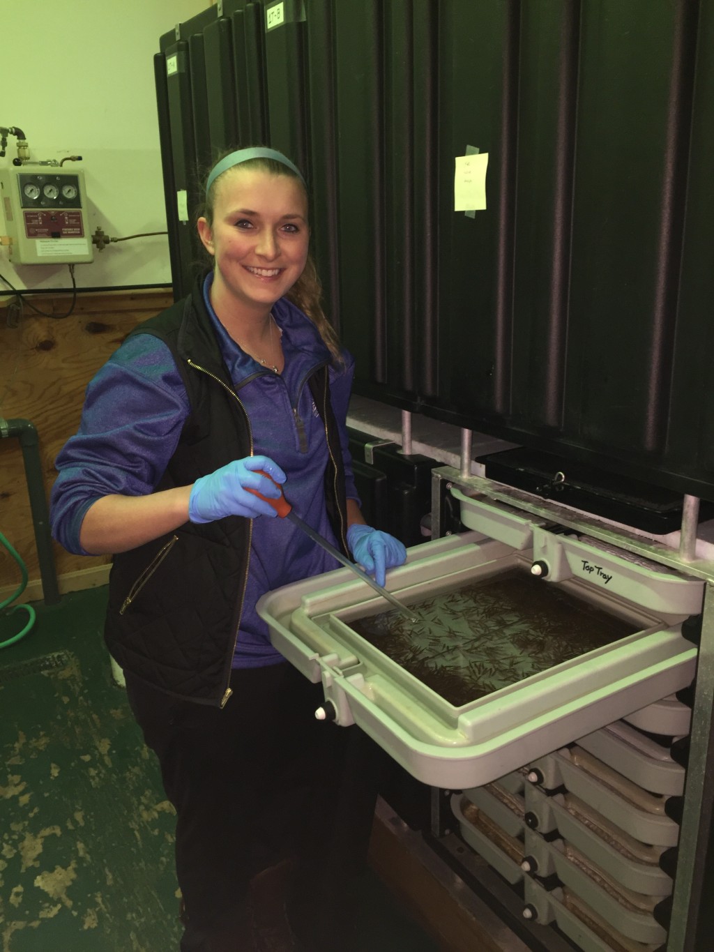 Brielle Robinson worked inside the alliance's hatchery as a UNE student