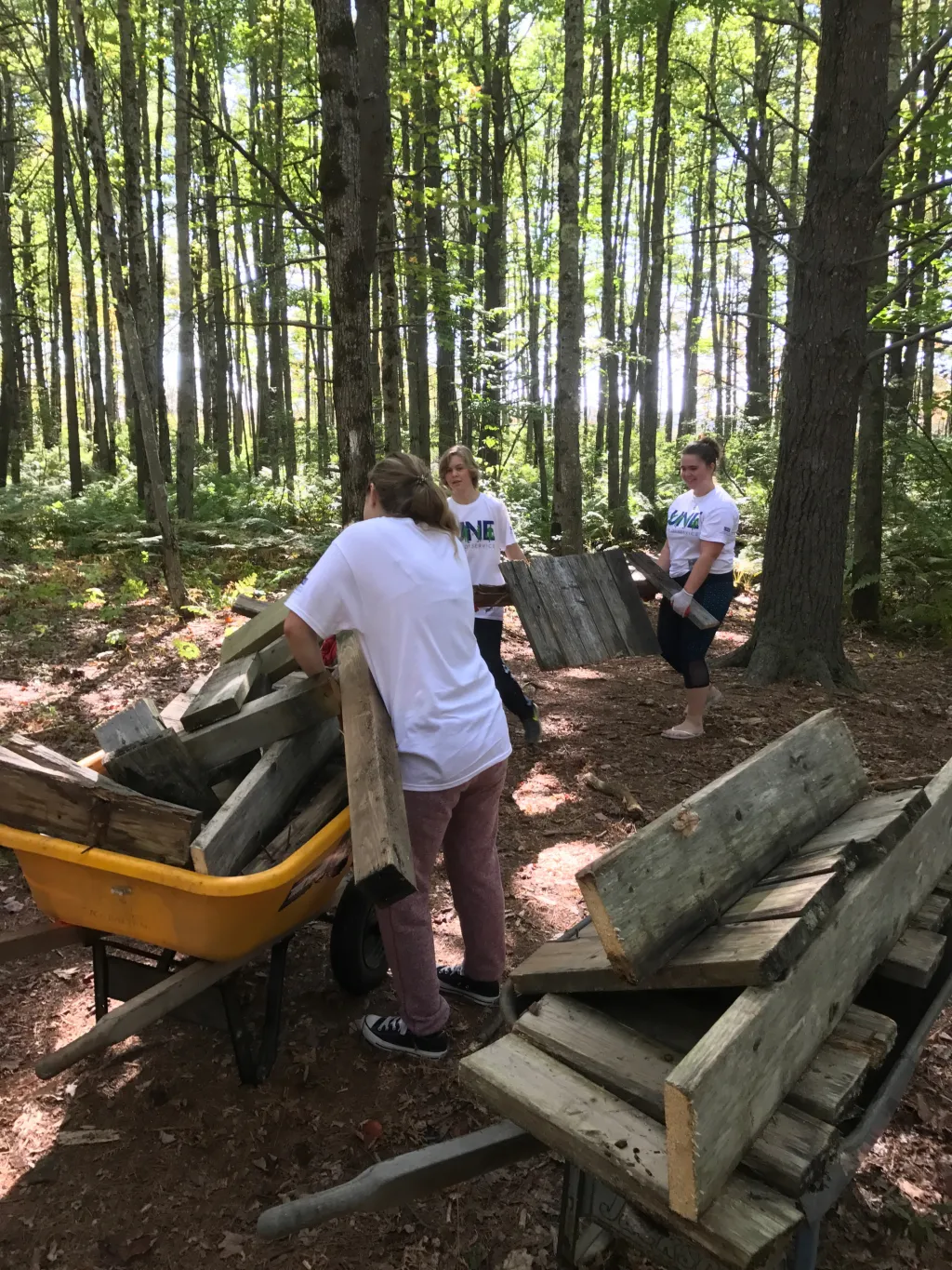 A UNE volunteer crew gets to work on cleaning up the Saco Bay Trails.