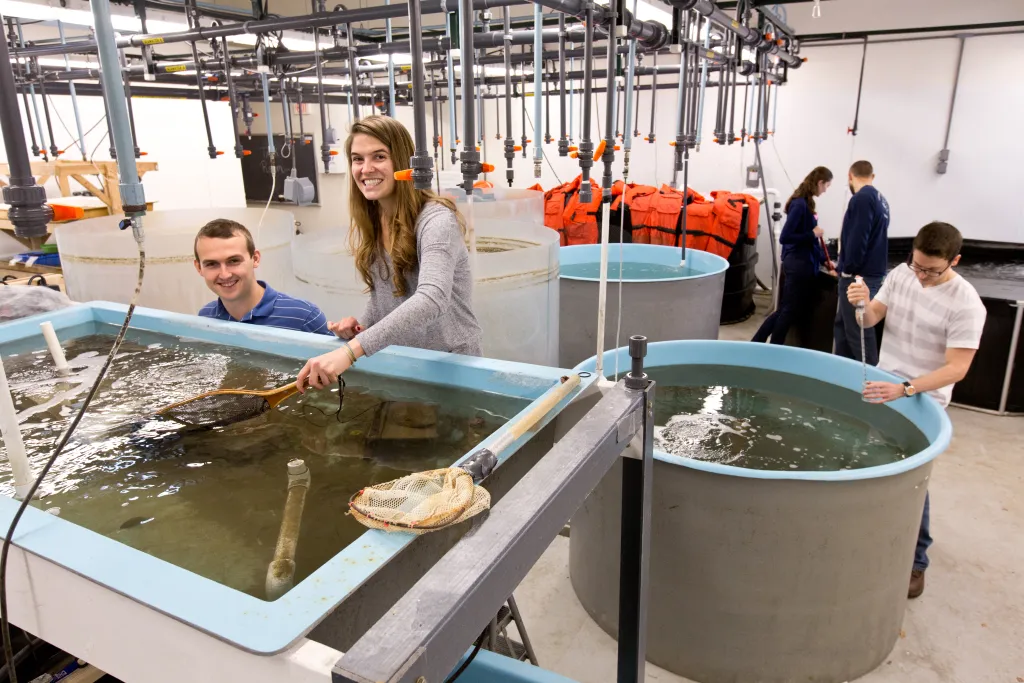 Both “Biology Explorer’ and ‘College Choice’ lauded the high quality research facilities and laboratories dedicated to marine pr
